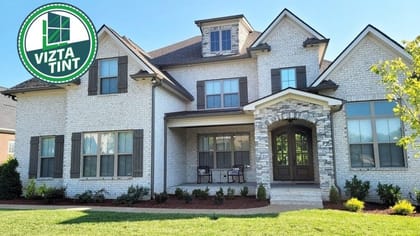 Vizta Tint